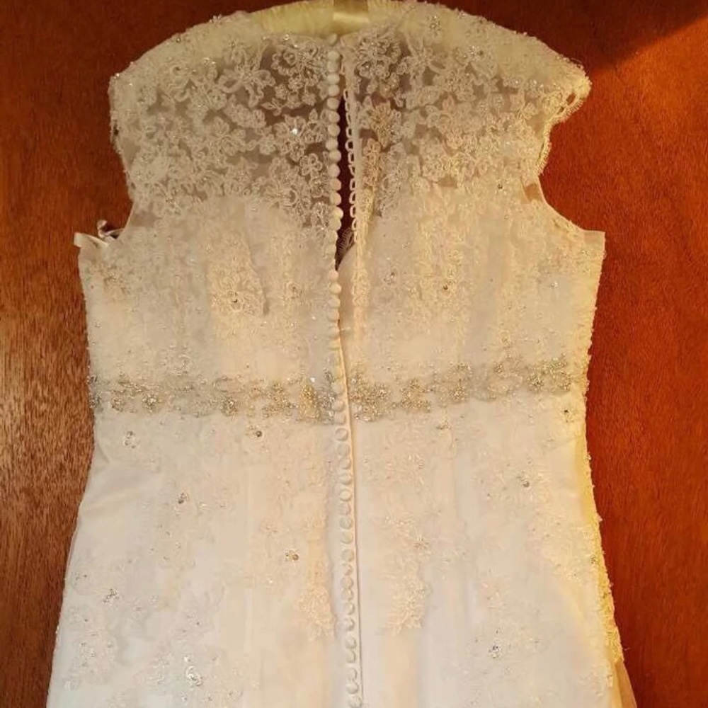 Wedding Dress (David’s Bridal)